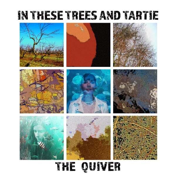 Cover art for The Quiver